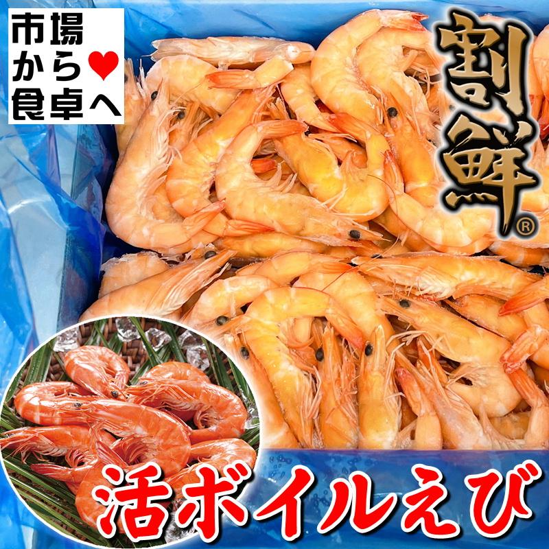 活ボイルえび 2kg Mサイズ(約100尾入り)【ニチレイブランド】 「割鮮