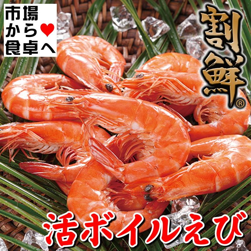 エビ商品 活ボイルえび 2kg Mサイズ(約100尾入り)【ニチレイブランド】 「割鮮
