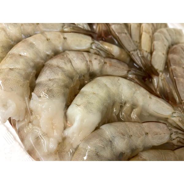 海老 バナメイ 海老 1 8ｋｇ 6 鮮度維持 ブロック凍結 1 8ｋｇ 41 50 約164 0尾 業務用 冷凍便 cjvn うまいもの市場yahoo 店 通販 Yahoo ショッピング