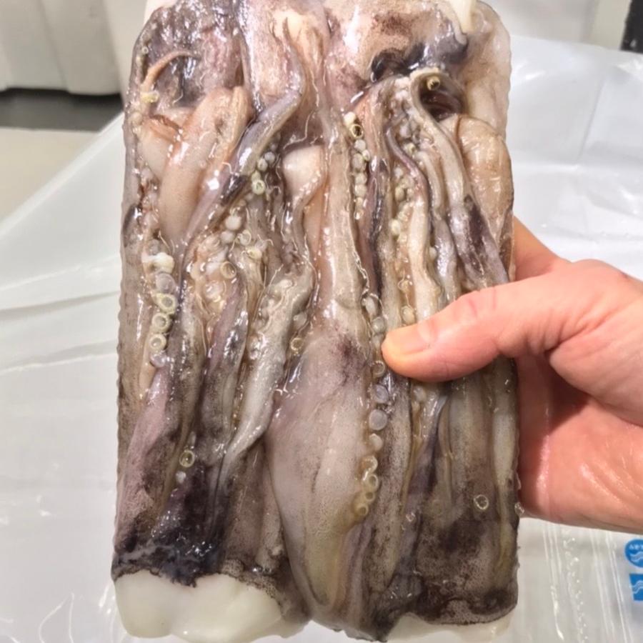 いかげそ 赤イカ 5kg いか足君 焼物 揚物 煮物 バーベキューなど用途色々 国産イカゲソ 冷凍便 noikgs5p1kjpm うまいもの市場yahoo 店 通販 Yahoo ショッピング