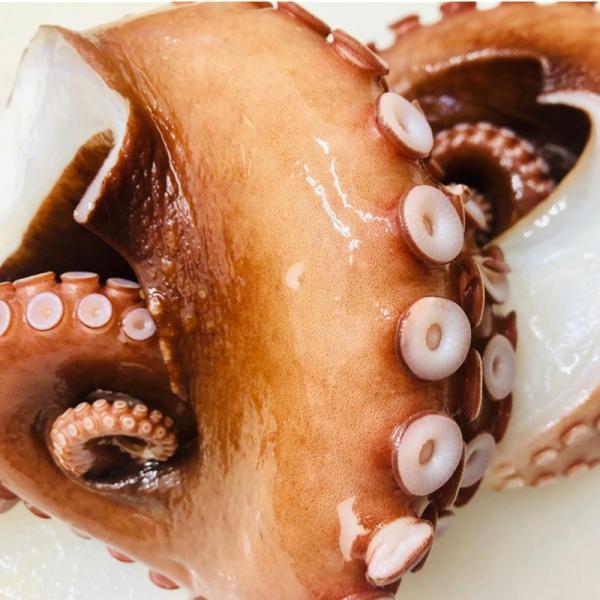 ふるさと納税 冷凍 2 3本 煮 ミズダコ タコ 1 2kg以上