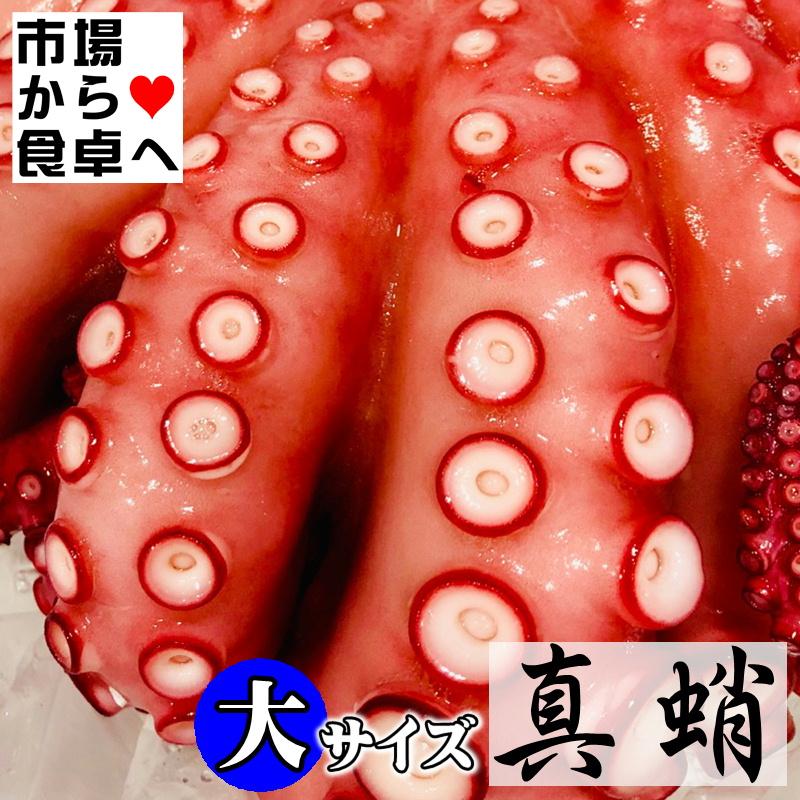 たこ 真 タコ ボイル済み 5kg 5杯入り特大サイズ 生食用 刺身 カルパッチョ サラダ おでん 色々な料理にお使いいただけます 冷凍便 Gruindag Com
