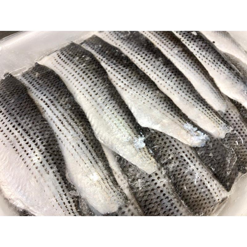 しめ こはだ 1kg 大容量 業務用 寿司種 和え物 酢の物に 冷凍便 1819skd1kgygkm うまいもの市場yahoo 店 通販 Yahoo ショッピング