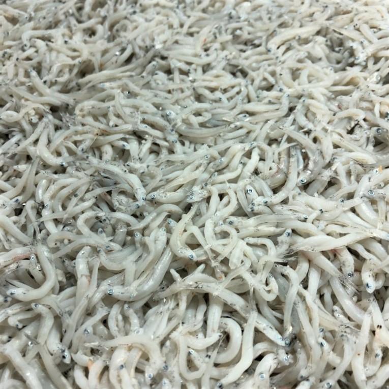 しらす 干し 甘塩 1ｋｇ 入り 新物 業務用 小魚を毎日食べよう 冷凍便 1819tkamsr1h1kgtk うまいもの市場yahoo 店 通販 Yahoo ショッピング