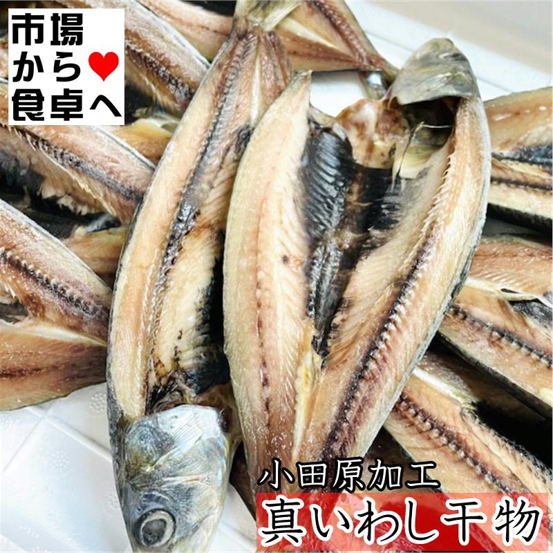 真 いわし 干物 国産品 10枚入り 小田原ひもの 山市商店 自分の子供にも自信をもって食べさせています 冷凍便 1819ymiwhr1bl10mod うまいもの市場yahoo 店 通販 Yahoo ショッピング