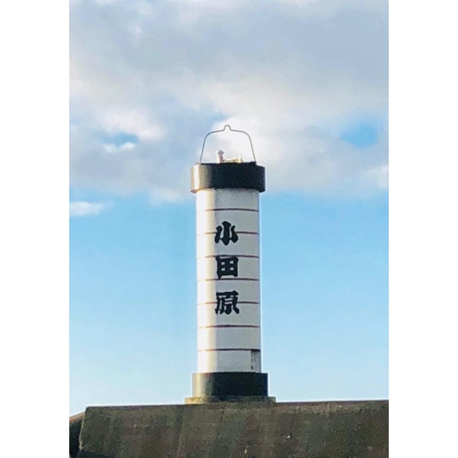 かます 干物 国産 10枚入 小田原ひもの 山市商店 自分の子供にも自信をもって食べさせています 1819ymkmhm1bl10mkk うまいもの市場yahoo 店 通販 Yahoo ショッピング