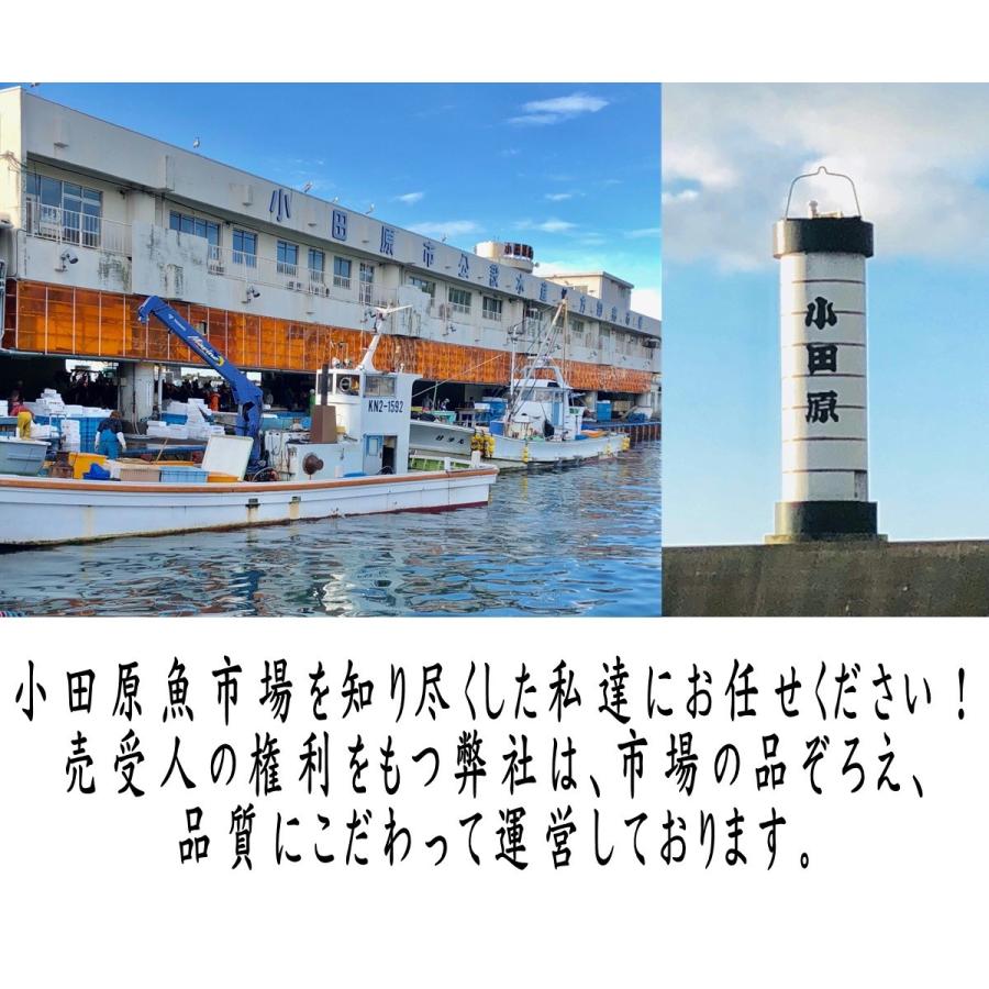 金目鯛 干物 国産品 10枚入り 小田原ひもの 山市商店 自分の子供にも自信をもって食べさせています 1819ymknhm1bl10mkk うまいもの市場yahoo 店 通販 Yahoo ショッピング