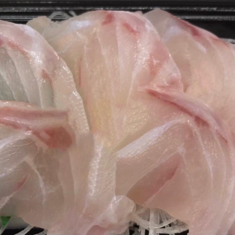 クエ 本 くえ 活じめ 養殖 約2kg前後 刺身用 高級魚 産地直送 高級料理店 こだわりの店などでお使いいただいております 冷蔵便 1002kjffkb うまいもの市場yahoo 店 通販 Yahoo ショッピング