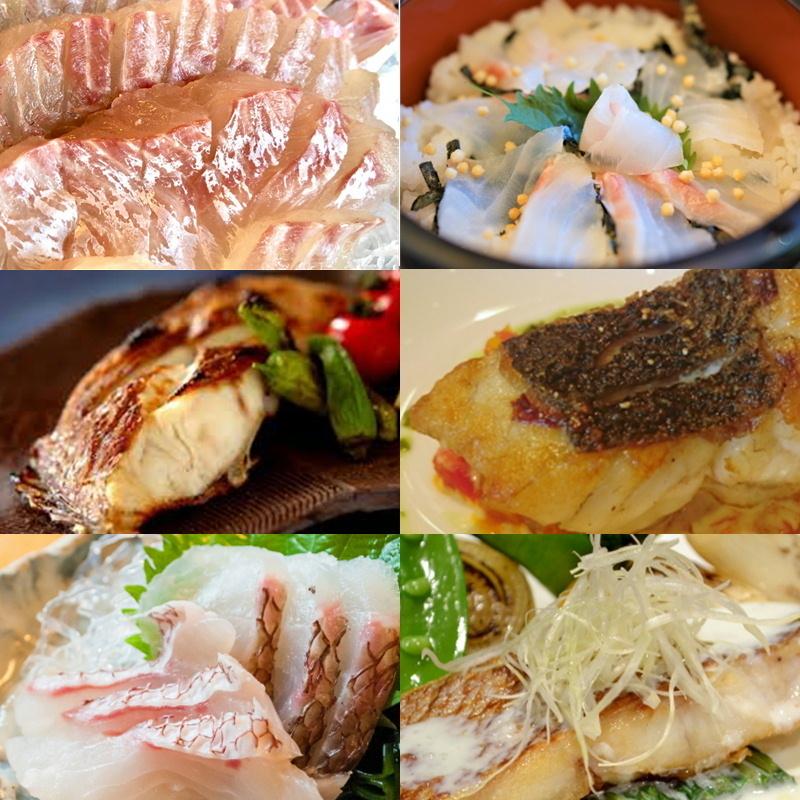 真鯛 活き締め 約2ｋｇ 2尾 刺身用 生食用 小田原港 より 即日発送 うまいもの市場 活〆シリーズ 鮮度重視 旨味が違います 冷蔵便 10odikmd1p15kod うまいもの市場yahoo 店 通販 Yahoo ショッピング