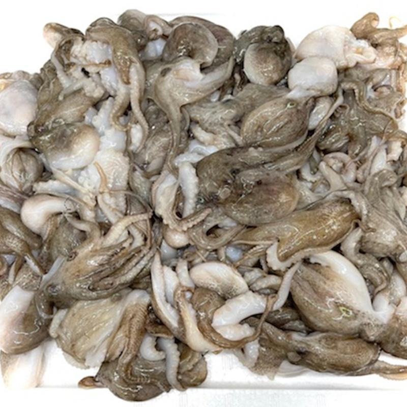 いいだこ 2kg 飯蛸 業務用 送料無料 サイズ26 30 たこ焼き 煮物 おでん 煮物などでお使いいただけます 冷凍便 イイダコ 釣り たこ タコ 蛸 1102nbiidk1k26bt うまいもの市場yahoo 店 通販 Yahoo ショッピング