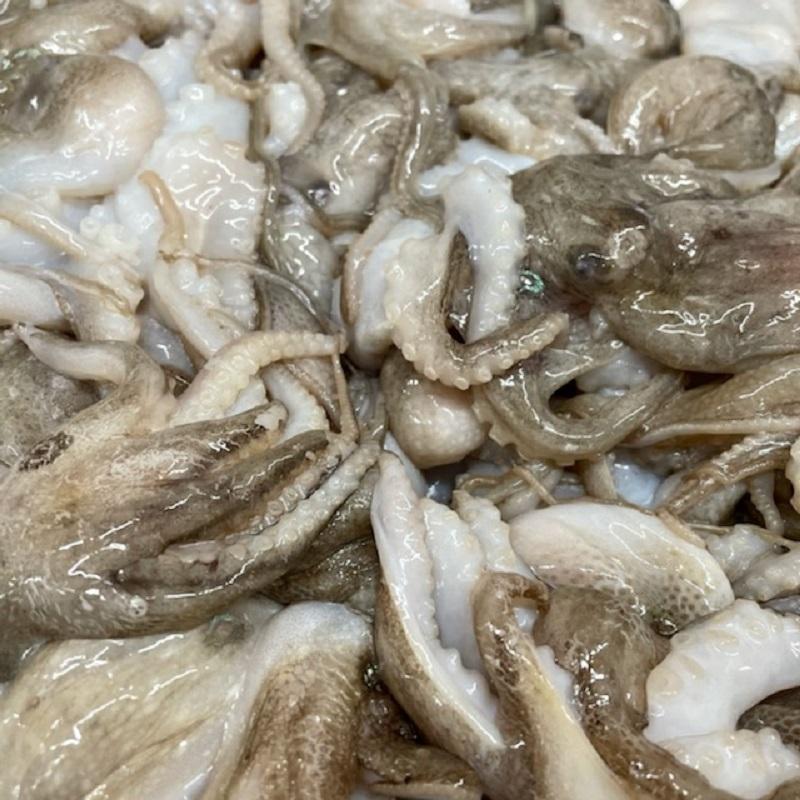 いいだこ 2kg 飯蛸 業務用 送料無料 サイズ26 30 たこ焼き 煮物 おでん 煮物などでお使いいただけます 冷凍便 イイダコ 釣り たこ タコ 蛸 1102nbiidk1k26bt うまいもの市場yahoo 店 通販 Yahoo ショッピング