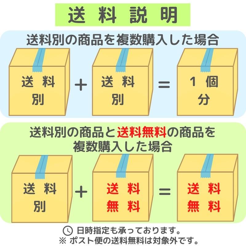 いか一夜干し 2枚入り × 20パック  【 肉厚・美味しい 】 おつまみ・炒め物・バター焼きなどでお召し上がりください 【冷凍便】いか イカ おつまみ BBQ  通販の画像