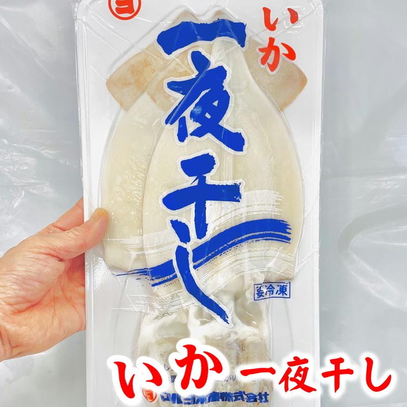 いか一夜干し 2枚入り × 20パック  【 肉厚・美味しい 】 おつまみ・炒め物・バター焼きなどでお召し上がりください 【冷凍便】いか イカ おつまみ BBQ  通販の画像