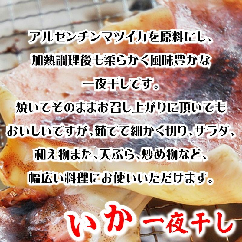 いか一夜干し 2枚入り × 20パック  【 肉厚・美味しい 】 おつまみ・炒め物・バター焼きなどでお召し上がりください 【冷凍便】いか イカ おつまみ BBQ  通販の画像