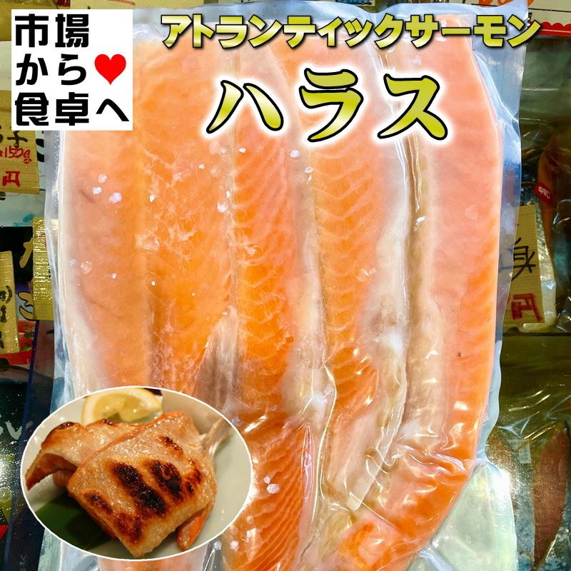 冷凍食品 業務用 定塩アトランティックサーモンハラスロイン 500g