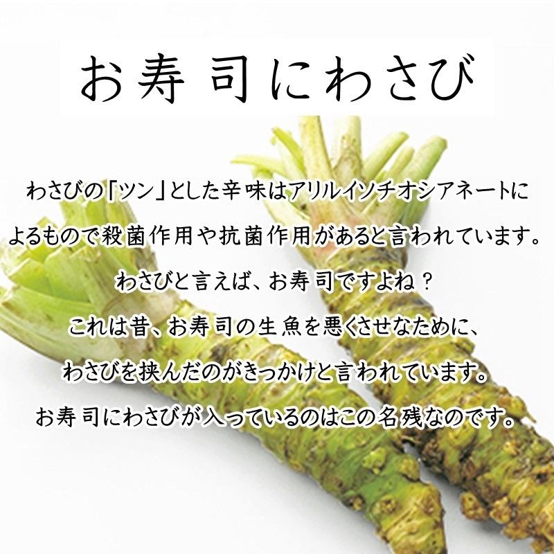 生おろしわさび 3袋(1袋300g入り) 業務用 【山間渓流の清水で育つ厳選