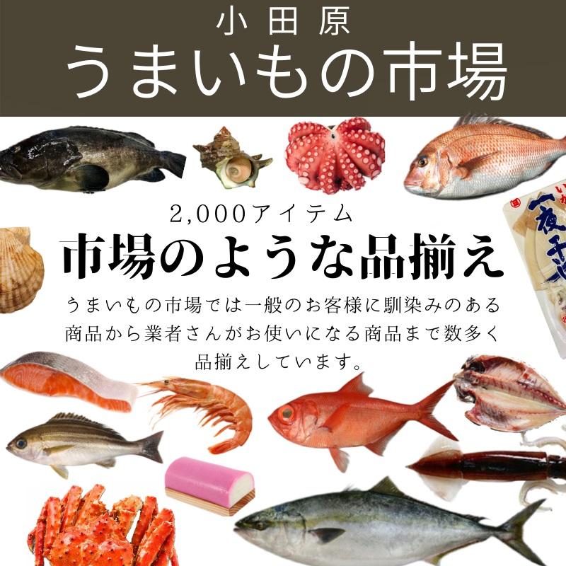 いわしはんぺん 10袋(1袋5枚入り)【小田原山上かまぼこ】いわしの素朴でやさしい味わいです【冷蔵便】｜umaimono18｜11