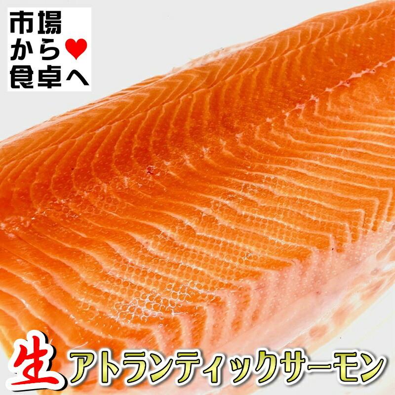 サーモン半身 タコ足２ｋ み 生 アトランティックサーモン 半身2枚 (半身約1.5kg)【業務用・脂