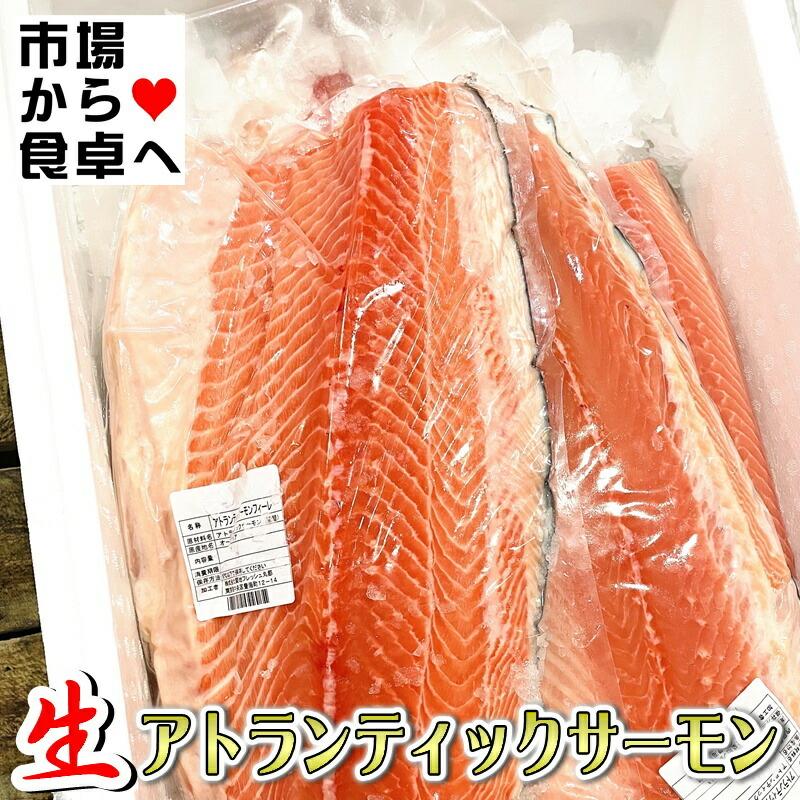 サーモン半身 タコ足２ｋ み 生 アトランティックサーモン 半身2枚 (半身約1.5kg)【業務用・脂