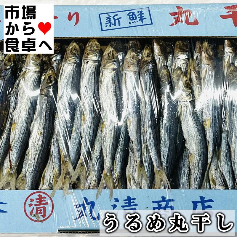 ②3箱限り！丸干しほぼA品5キロ ③3箱限り！丸干しほぼA品5キロ ③3箱