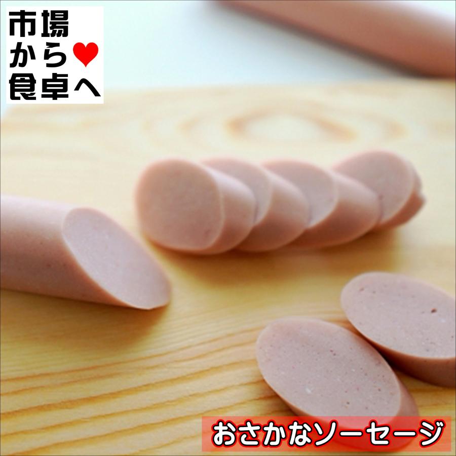おさかなソーセージ セット 10束(1束4本)【魚肉ソーセージ】おやつ