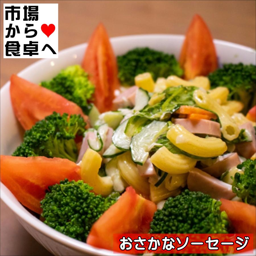 おさかなソーセージ セット 5束(1束4本)【魚肉ソーセージ おさかなソーセージ セット 5束(1束4本)【魚肉ソーセージ