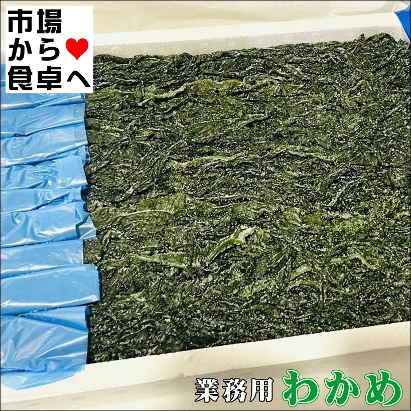 わかめ 業務用 塩蔵わかめ 20本入り【国産塩わかめ】様々な料理に使え