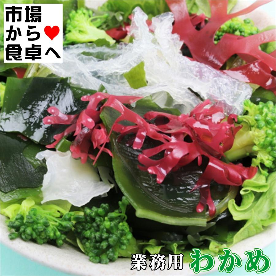 わかめ 業務用 塩蔵わかめ 20本入り【国産塩わかめ】様々な料理に使え
