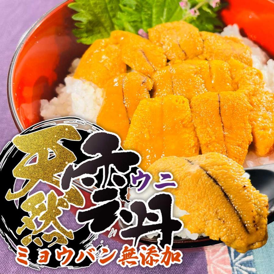 うに最高級 特上塩うに1300円1本送料込ミョウバン無10本 13980 円 楽天市場】【ふるさと納税】うに ミョウバン不使用 北海道 極上 生うに
