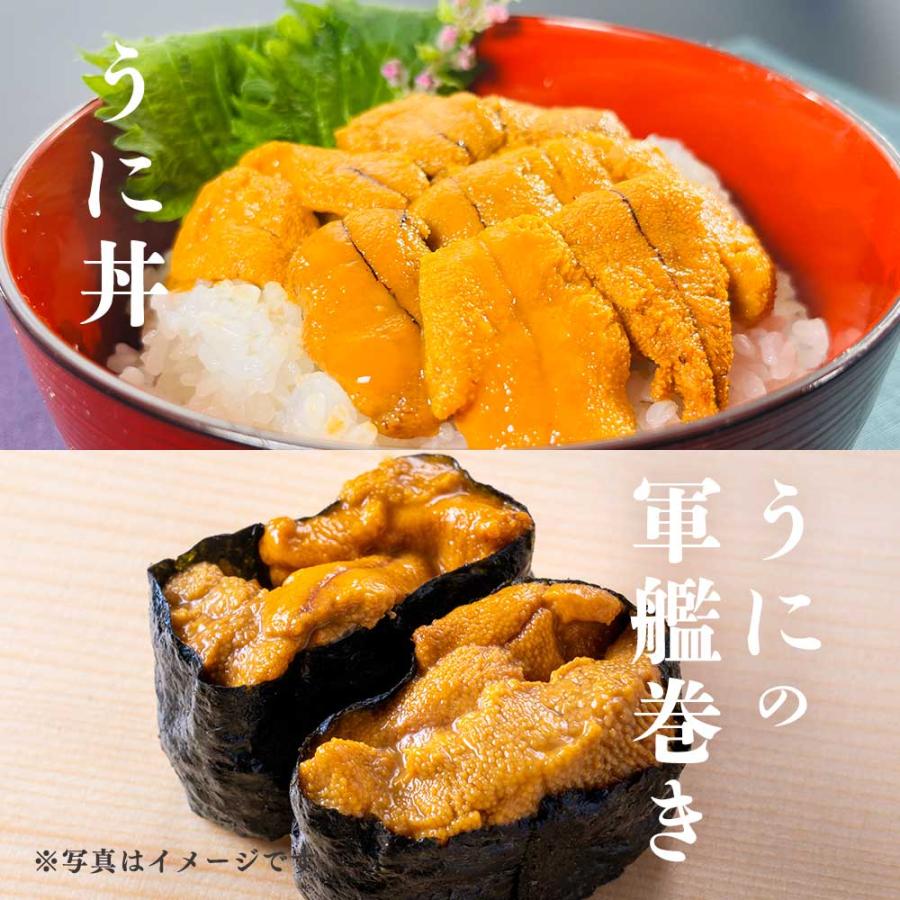 ミョウバン無添加 天然ウニ 300g TV放送で人気 うに丼 贅沢 雲丹 うに