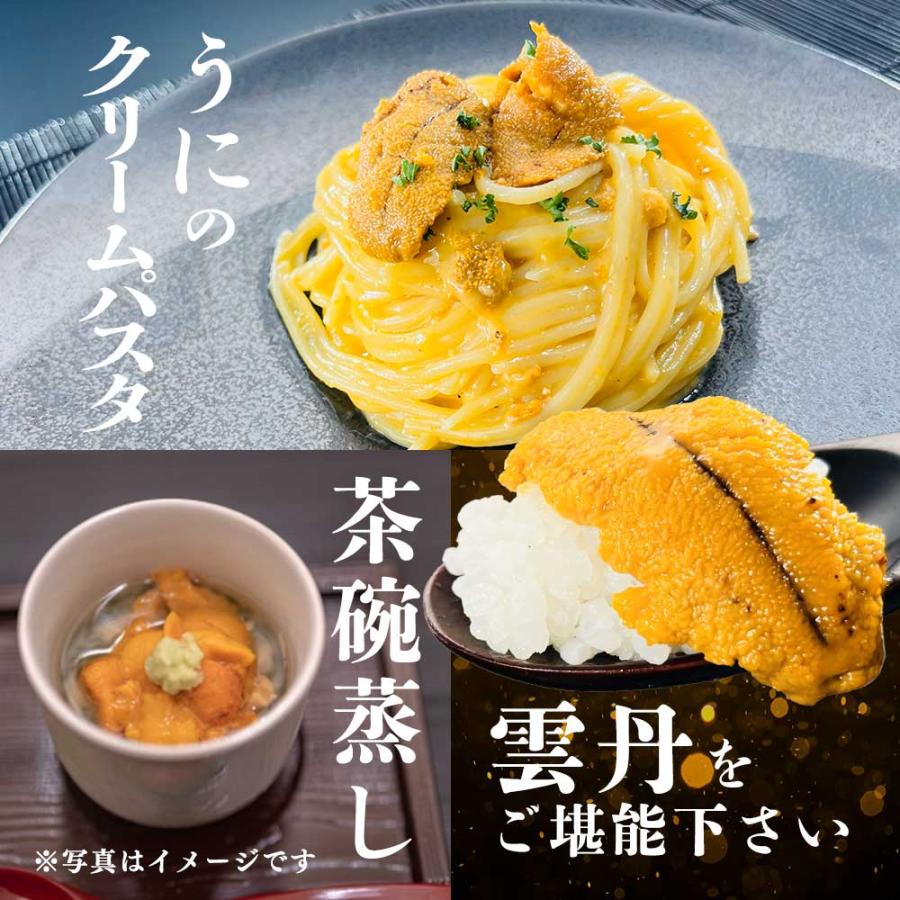 ミョウバン無添加 天然ウニ 300g TV放送で人気 うに丼 贅沢 雲丹 うに
