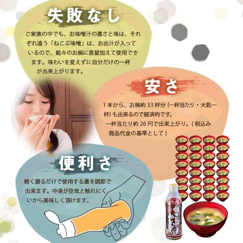 驚きの値段 ねこぶみそお試し３本セット みそ汁 味噌汁 即席みそ汁 インスタント ねこぶだし とれたて 美味いもの市 Aynaelda Com