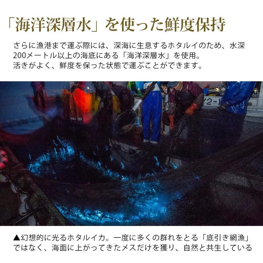 カネツル砂子商店 ほたるいか活漬け 180g 父の日 おつまみ プレゼント ホタルイカ 醤油漬け 富山 ギフト お取り寄せ 冷凍 うまい村 通販 Yahoo ショッピング