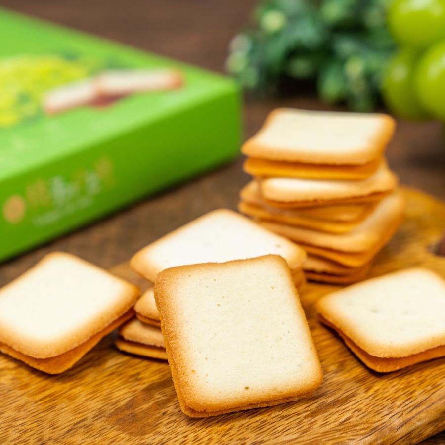 桃子のひと時 マスカット オブ アレキサンドリアラングドシャ １０枚入 0802 うまいな岡山 Yahoo 店 通販 Yahoo ショッピング