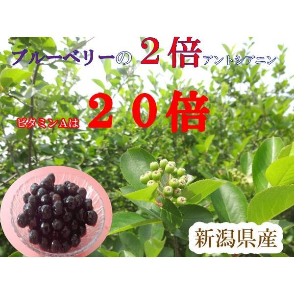 アロアニ　　　500ml×12本