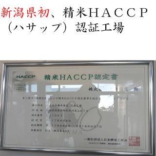 【送料無料】令和7年 新米新潟県産こしいぶき2キログラム×20