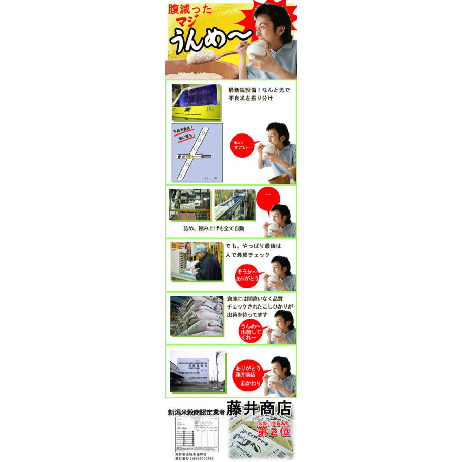 【送料無料】令和7年 新米新潟県産こしいぶき2キログラム×20