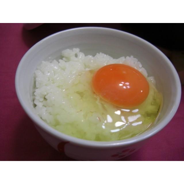【送料無料】令和7年度産 新米　伊彌彦米5キログラム×9特別栽培米伊弥彦米_4