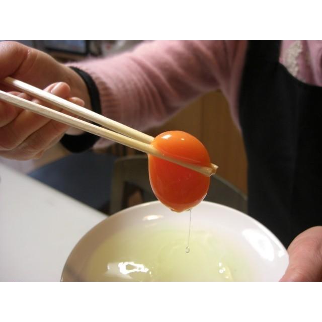 安心発送 Fly High Pro Xシリーズopen Bow Sac 1000ポンド Materialworldblog Com