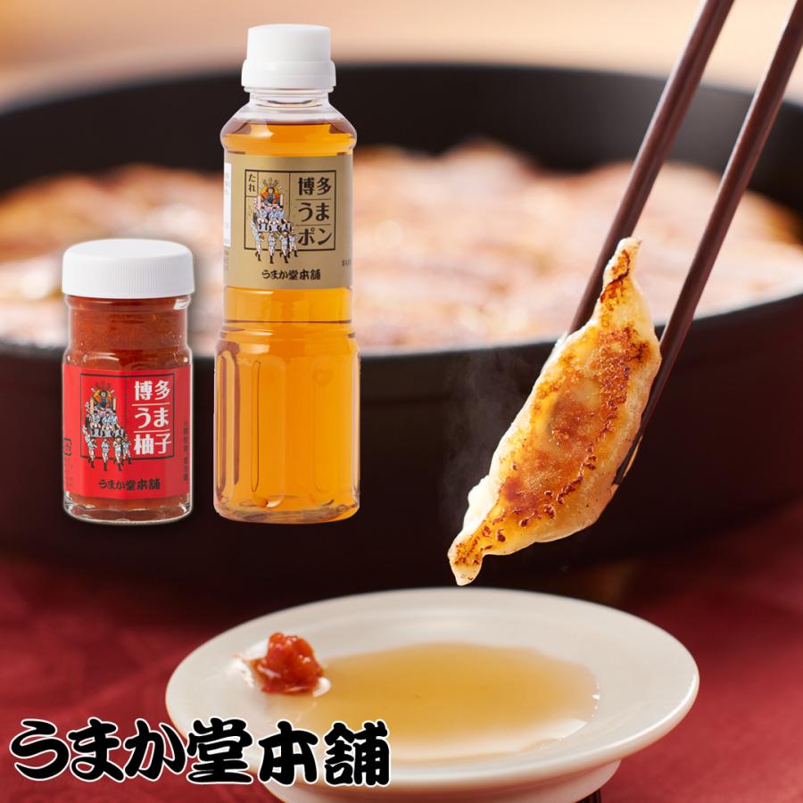 餃子 ぎょうざ ギョウザ 冷凍 取り寄せ 博多餃子 鉄鍋餃子 博多 餃子 ぎょうざ ギョウザ 冷凍 取り寄せ 博多餃子 鉄鍋餃子 博多