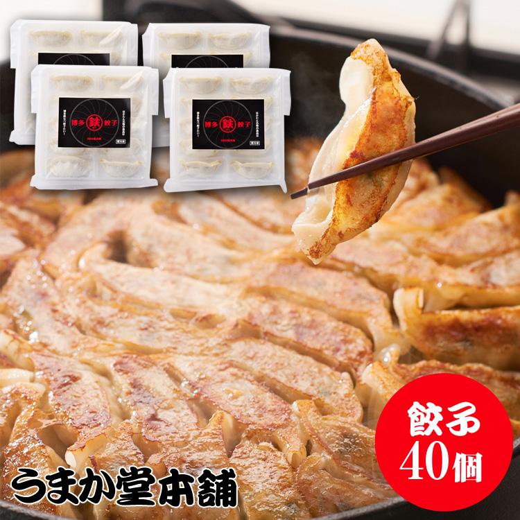 餃子ぎょうざ ギョウザ 冷凍餃子 取り寄せ 博多餃子 鉄鍋餃子 博多