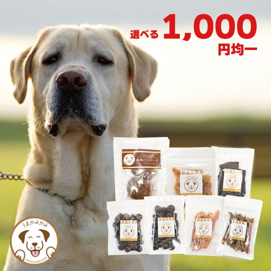 犬 おやつ 無添加 国産 モンゴル産 選べるおやつ1,000円均一 うまかみかみ（Yahoo!・うまかみかみ）