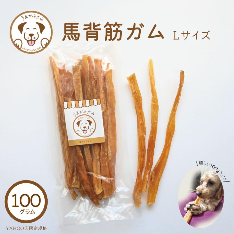 犬 ガム 長持ち 馬背筋ガム 長め Lサイズ 100g 小袋 お試し うまかみかみ  3つまでメール便可 の商品画像