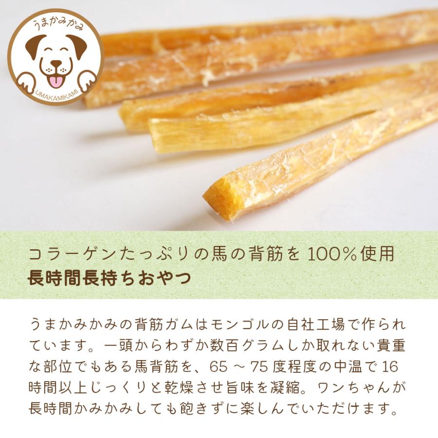 犬 おやつ ガム うまかみかみ 太めの馬背筋 ガム ロング  100g 数量限定規格｜umakamikami-shop｜02