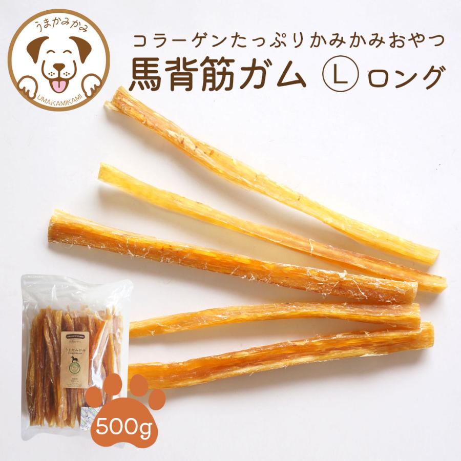 犬 ガム 長持ち 馬背筋ガム 長め Lサイズ 500g 無添加 おやつ うまかみかみ モンゴル産 26.4.23 202304niku の商品画像