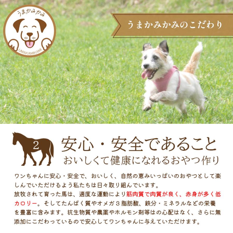 犬 おやつ 無添加 うまかみかみ 馬背筋 ガム 馬肺巻き ショート 500g モンゴル産 愛犬のおやつ 202304niku｜umakamikami-shop｜07