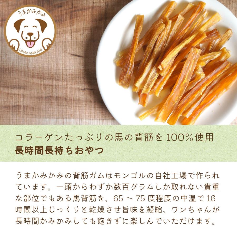 犬 ガム 長持ち 馬背筋ガム 短め Sサイズ 500g 無添加 おやつ うまかみかみ モンゴル産 (27.3.30)202304nikuの画像
