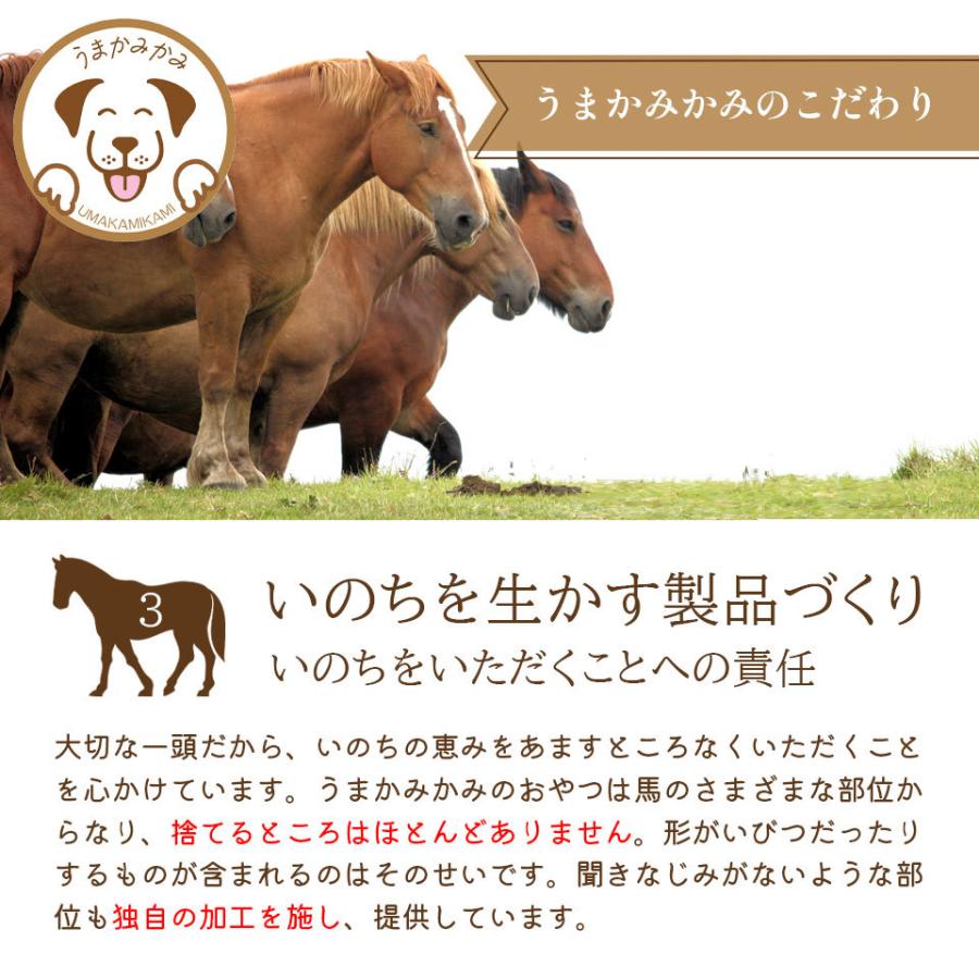 犬 ガム 長持ち 馬背筋ガム 短め Sサイズ 500g 無添加 おやつ うまかみかみ モンゴル産 (27.3.30)202304nikuの画像