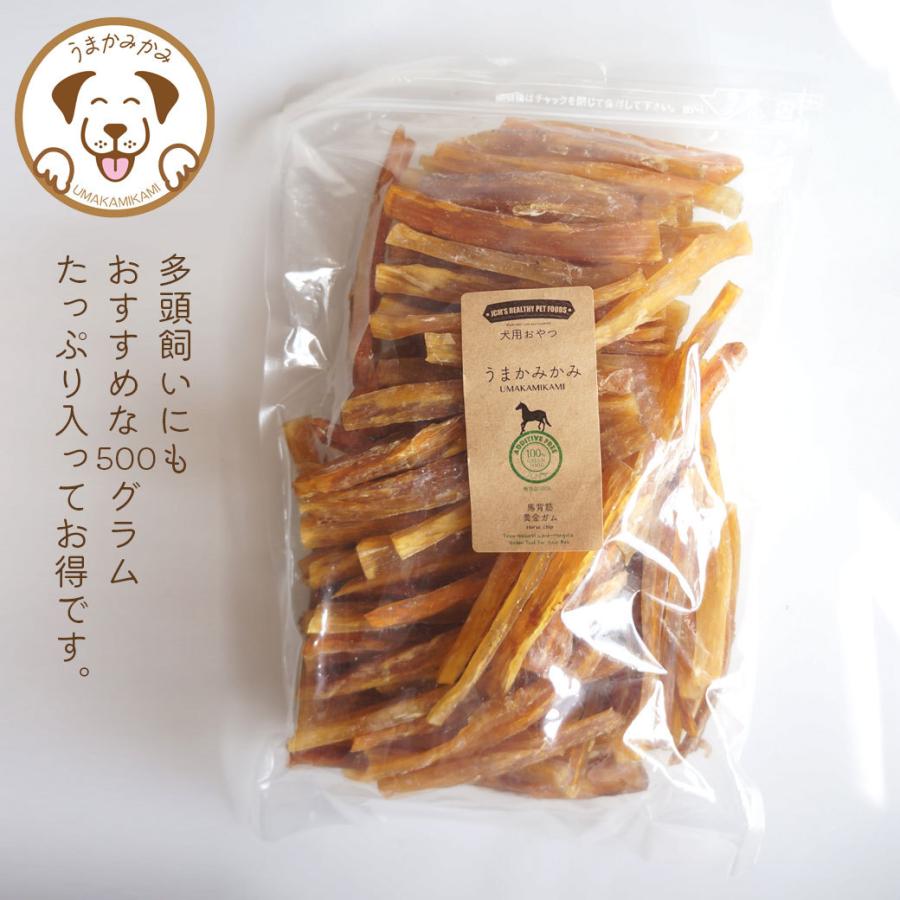 犬 ガム 長持ち 馬背筋ガム 短め Sサイズ 500g 無添加 おやつ うまかみかみ モンゴル産 (27.3.30)202304nikuの画像