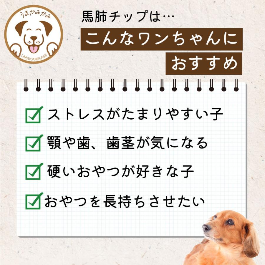 犬 ガム 長持ち 馬背筋ガム 短め Sサイズ 500g 無添加 おやつ うまかみかみ モンゴル産 (27.3.30)202304nikuの画像